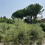 Biancaluna Holiday home San Felice del Benaco