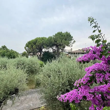 Biancaluna San Felice del Benaco
